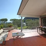 Elena Villa *